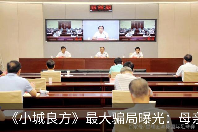 《小城良方》最大骗局曝光：母亲根本不是殉情，全是为肖战演的他