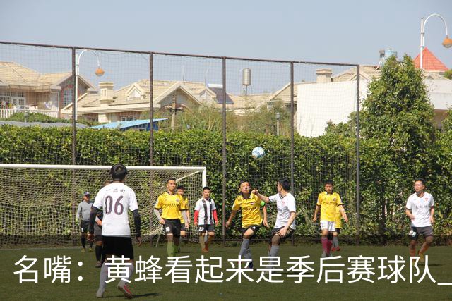 名嘴：黄蜂看起来是季后赛球队 米勒有望达到皮尔斯&双探花的级别