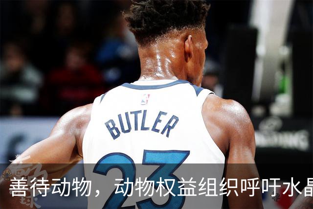 善待动物，动物权益组织呼吁水晶宫弃用活体吉祥物白头海雕凤凰