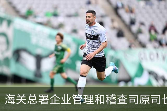 海关总署企业管理和稽查司原司长王胜被开除党籍