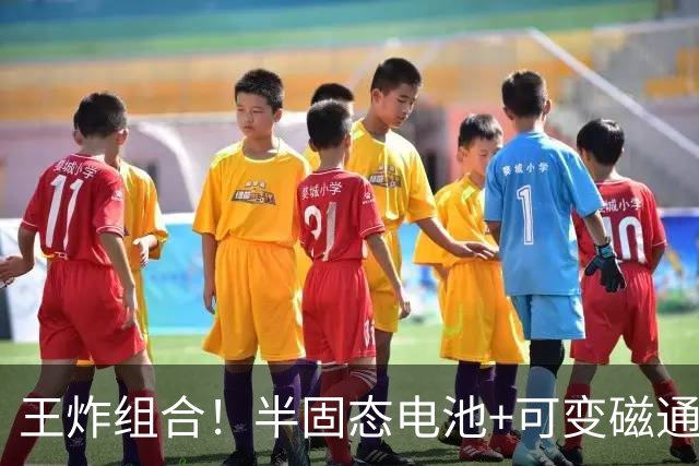 王炸组合！半固态电池+可变磁通电机，比亚迪王牌方程豹率先搭载