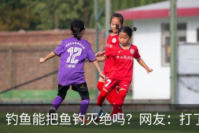 钓鱼能把鱼钓灭绝吗？网友：打了几斤窝，钓了2尾小鲫鱼，不够一盘菜最后还放生了