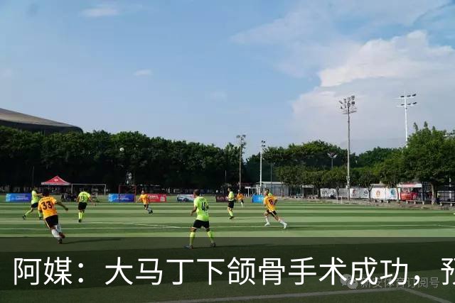 阿媒：大马丁下颌骨手术成功，预计将休战一个半月