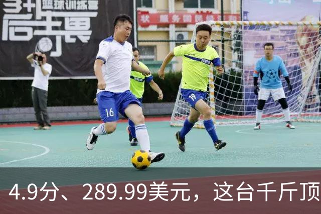 4.9分、289.99美元，这台千斤顶多了白色拉花