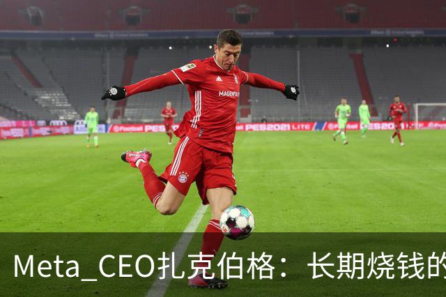 Meta CEO扎克伯格：长期烧钱的Muse和Reality Labs终于盈利在望